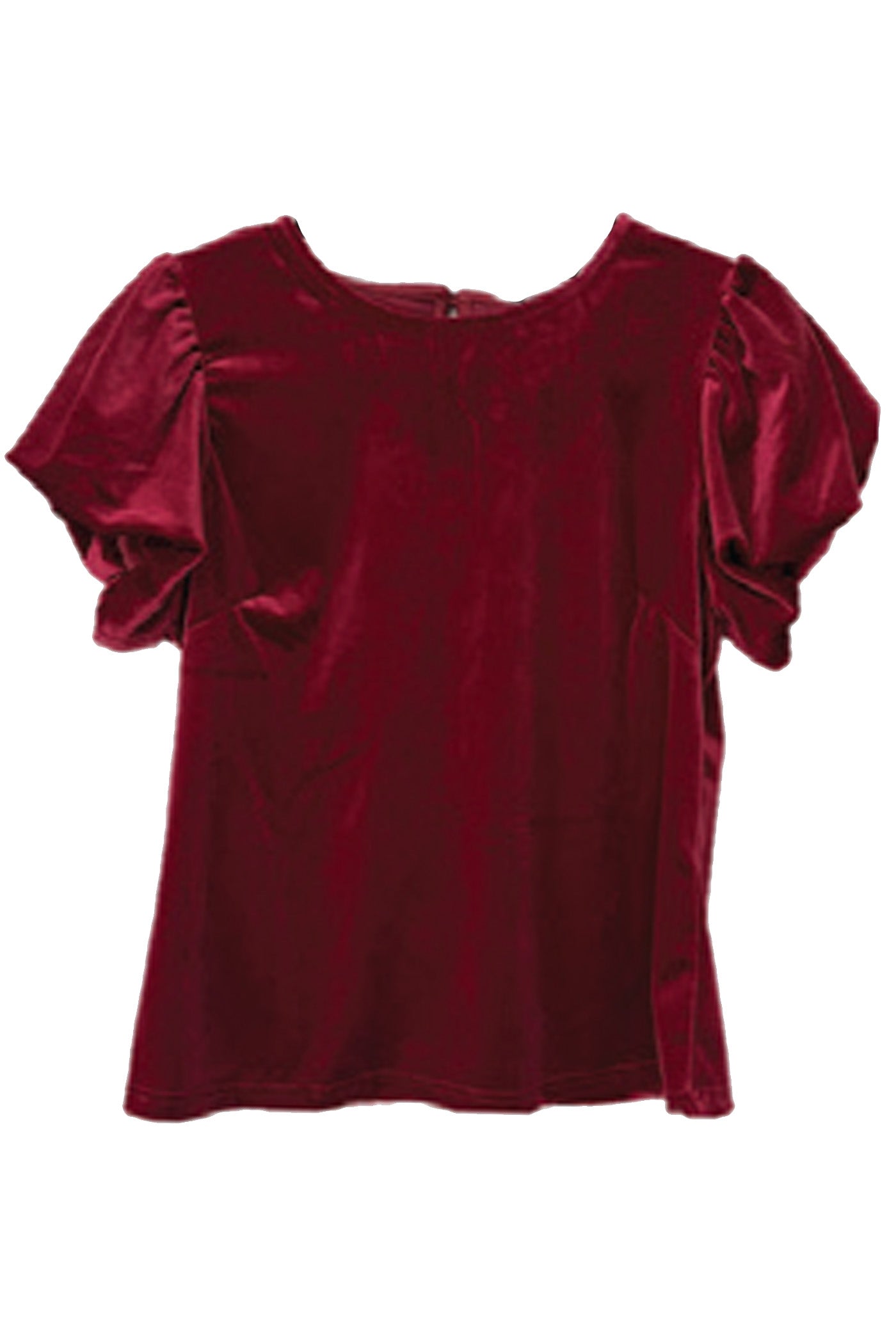 Vanessia velvet top